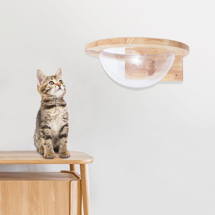 Cat space outlet capsule